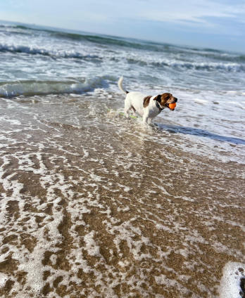 Info Producto Desktop - 1