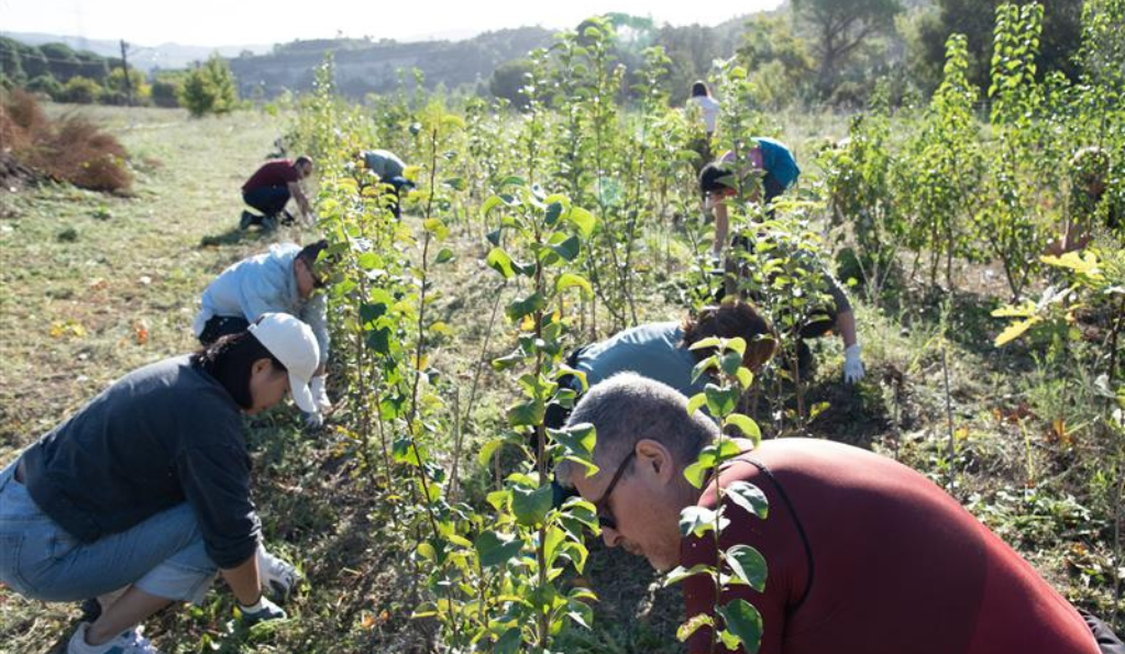Desktop dos columnas - 1