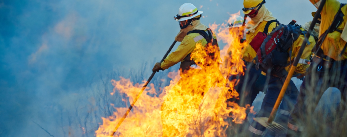 incendio avila
